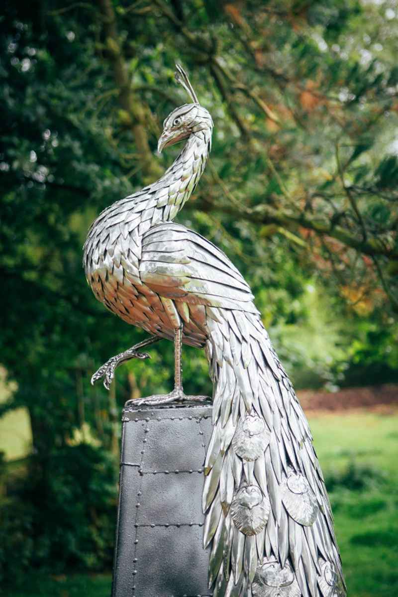 peacock sculpture (7)