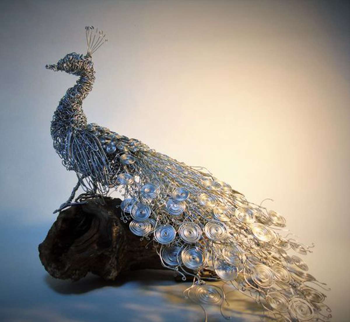 stainless steel peacock (1)