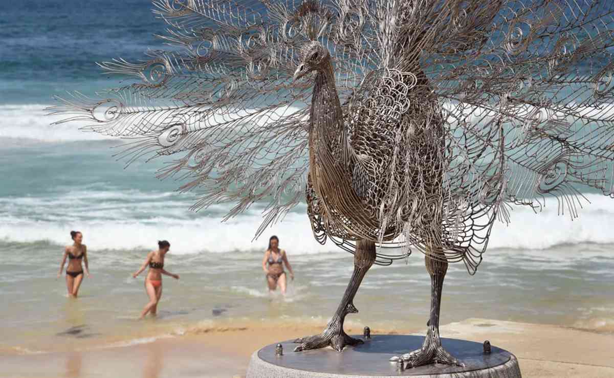 stainless steel peacock (3)