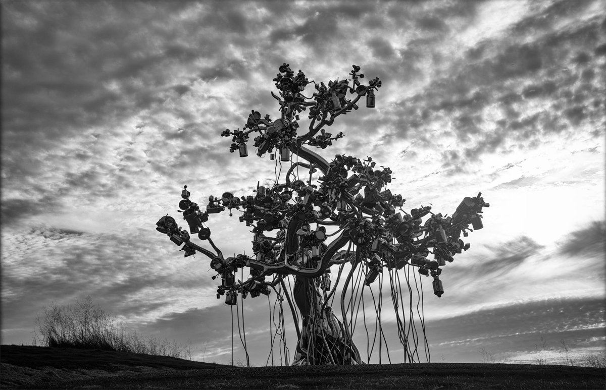 stainless steel tree sculpture (4)