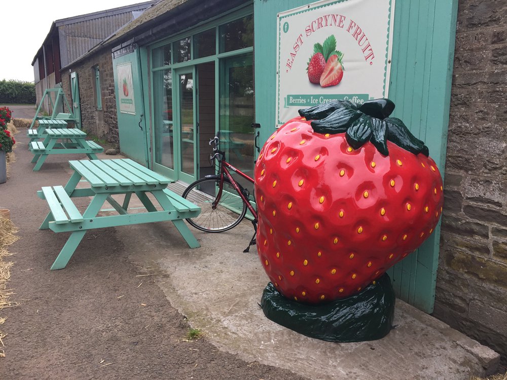 strawberry sculpture  (5)